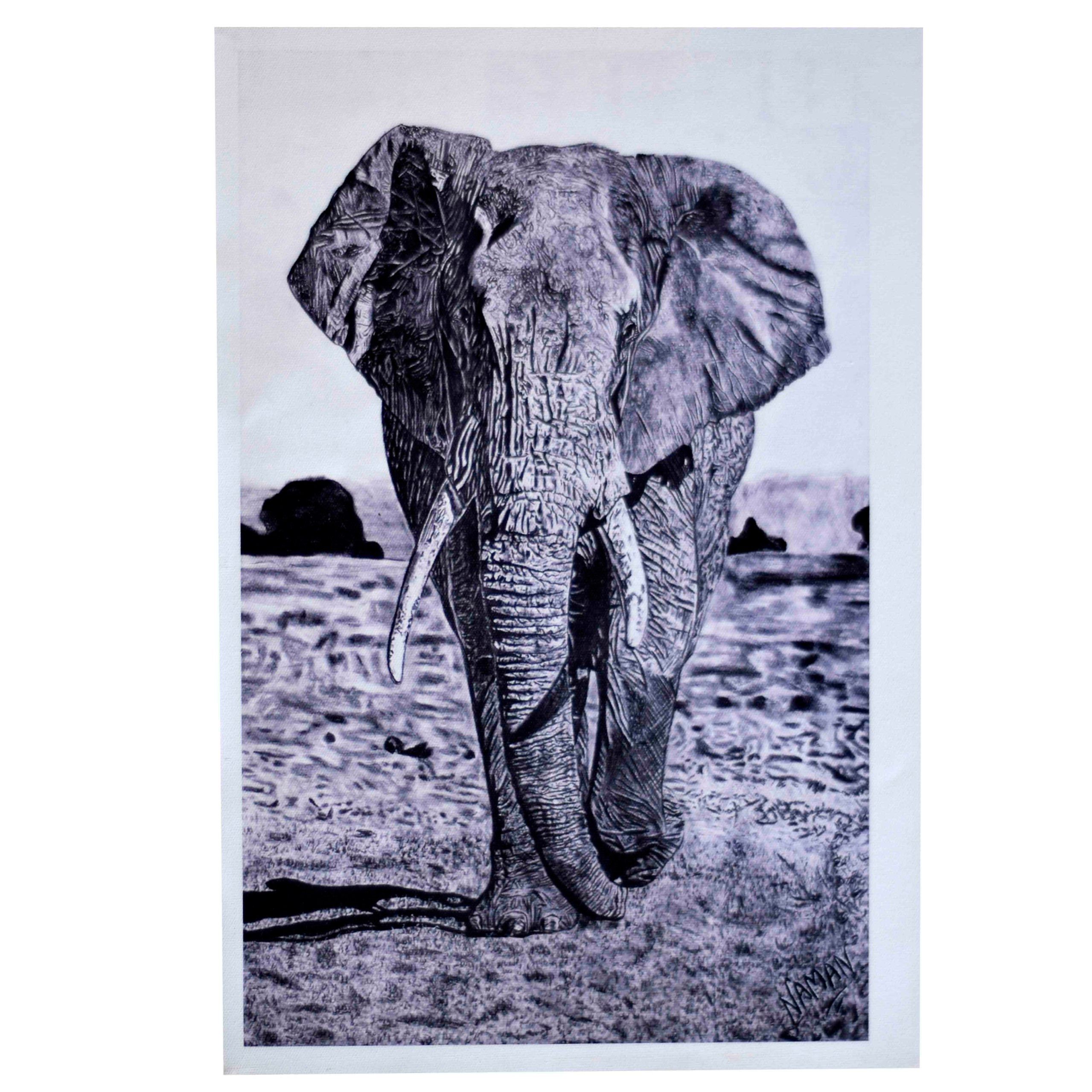 Baby Elephant Drawing Realistic - Drawing Skill
